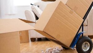 Packers and Movers Deccan Pune