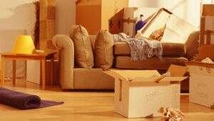 Packers and Movers Goa