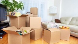 Packers and Movers from Pune to Kadapa