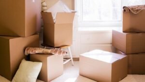 Packers and Movers from Pune to Muzaffarpur