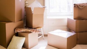 Packers and Movers Induri