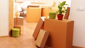 Packers and Movers Pingori