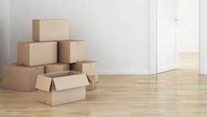 Packers and Movers Revenue Colony