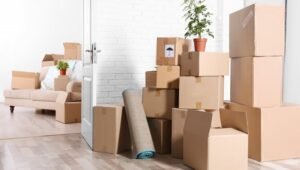 Packers and Movers Salisbury Park