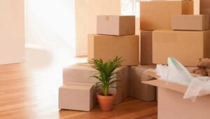 Packers and Movers Vadgaon Budruk