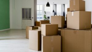 Packers and Movers Kiwale