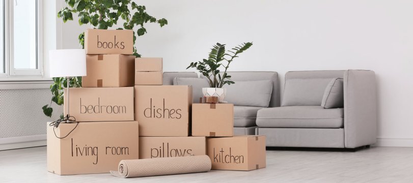 Local Packers and Movers Pune